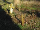 image of grave number 197377